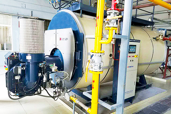 阿克蘇新農乳業(yè)有限責任公司6噸水管蒸汽鍋爐項目