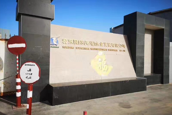 出口毛里塔尼亞一化工廠用6噸、10噸燃?xì)庹羝仩t項(xiàng)目