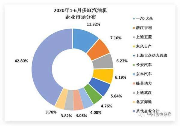 2020年1-6月多缸汽油機企業市場分布