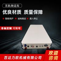 九江電動(dòng)平車(chē)生產(chǎn)供應(yīng)商—百達(dá)力歐公司制造