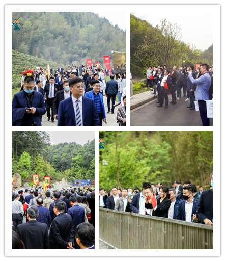 869161977450366.jpg 2.jpg